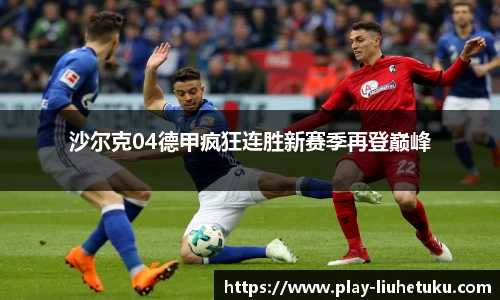 沙尔克04德甲疯狂连胜新赛季再登巅峰