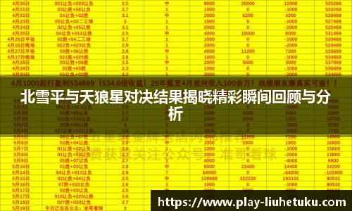 北雪平与天狼星对决结果揭晓精彩瞬间回顾与分析