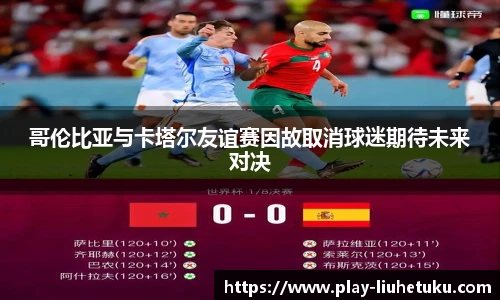 哥伦比亚与卡塔尔友谊赛因故取消球迷期待未来对决